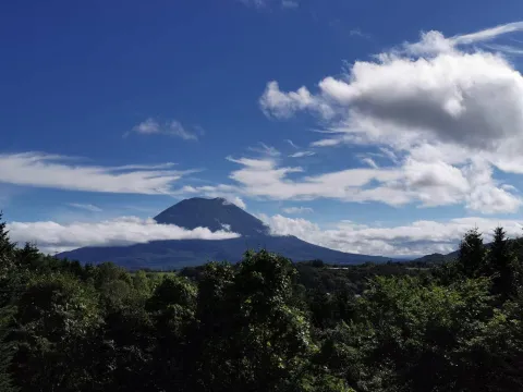 386870984_1798770090541464_3281456172485643802_n